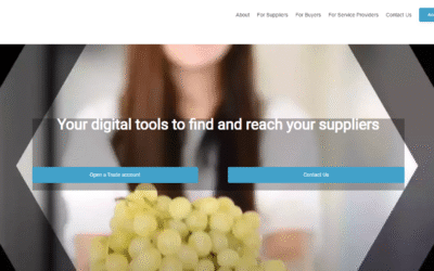 Prowexx LTD